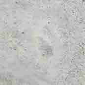 Tidal Bay Gray